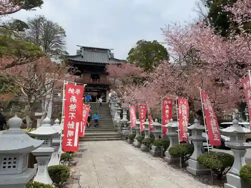 東円寺(山梨県)