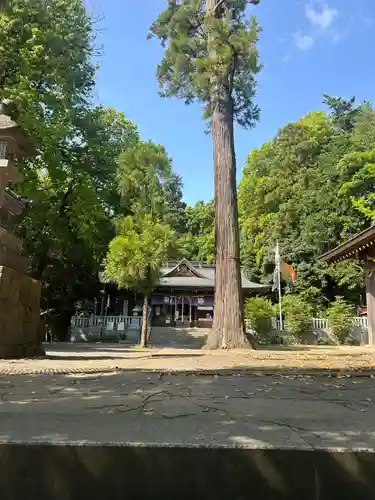 豊鹿嶋神社(東京都)