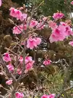 榎原神社の自然