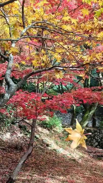 鶏足寺(滋賀県)