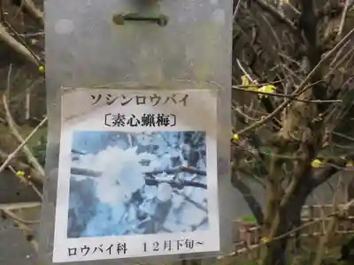 光則寺(神奈川県)