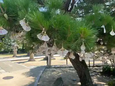 智恩寺(京都府)