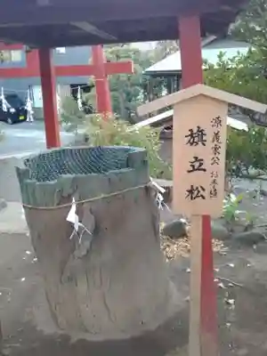 由比若宮（元鶴岡八幡宮）(神奈川県)