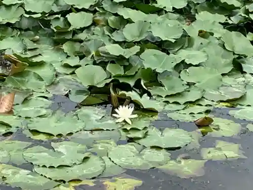 大生郷天満宮の自然