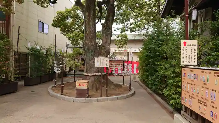 溝口神社の自然