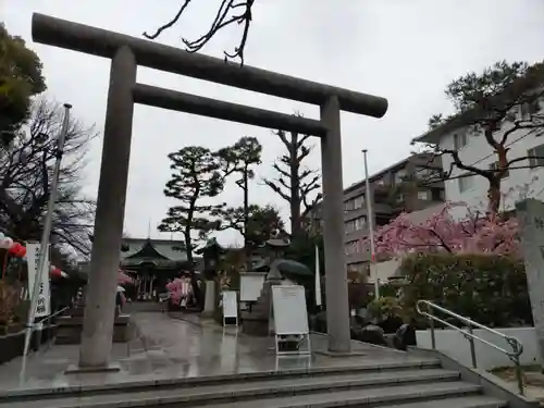 桜神宮の鳥居