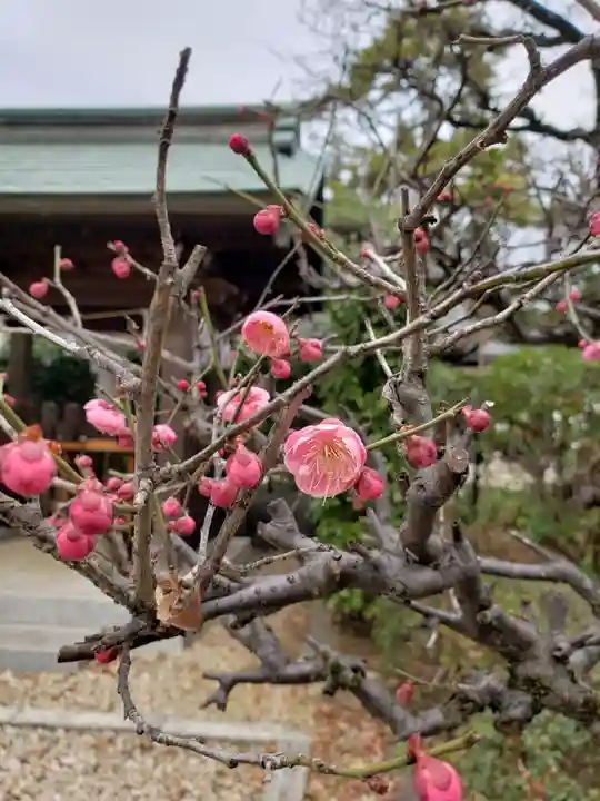 布多天神社(東京都)