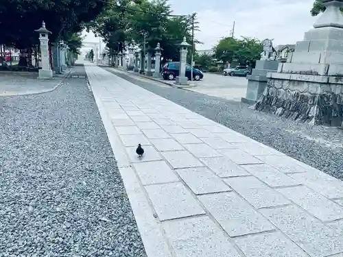 白山神社（二子町）の動物