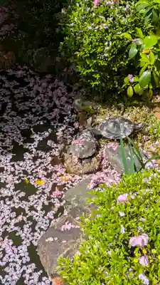 宝蔵寺(京都府)