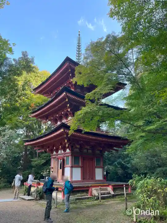 浄瑠璃寺(京都府)