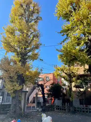 東貫森稲荷神社(東京都)