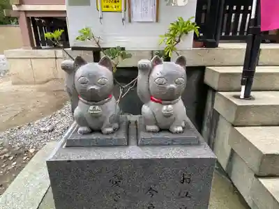 今戸神社の狛犬