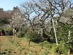 瑞泉寺の自然