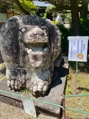京都乃木神社(京都府)
