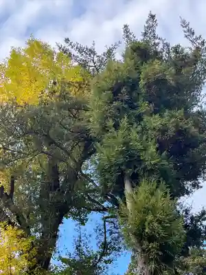 筑波山神社(茨城県)