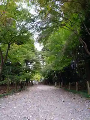 平林寺(埼玉県)