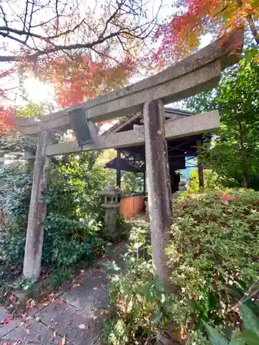 木食寺安祥院の鳥居