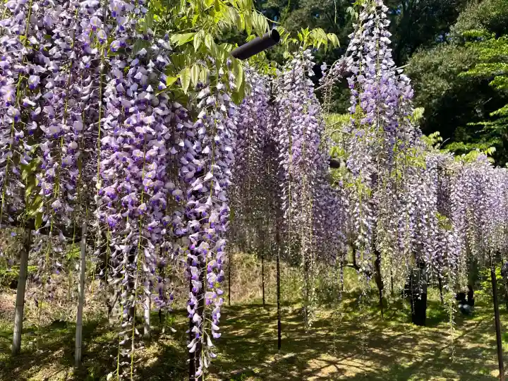 天台宗 五大山 白毫寺(兵庫県)