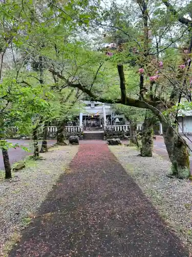 天鷹神社(岐阜県)