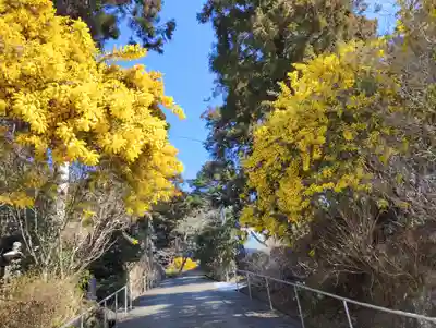 真野寺(千葉県)