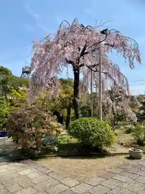 法金剛院(京都府)