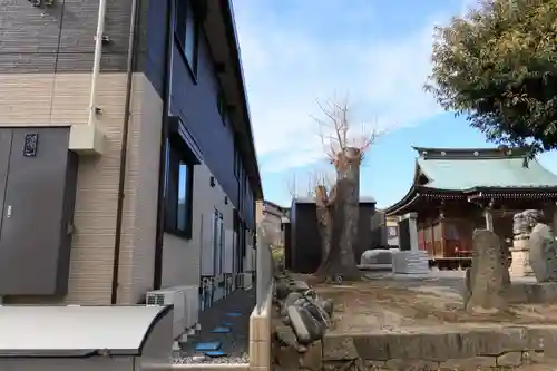 熊野福藏神社の周辺