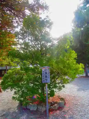 北海道神宮(北海道)