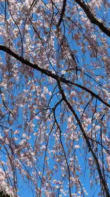 本満寺(本願満足寺)(京都府)