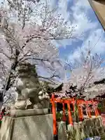 六孫王神社(京都府)