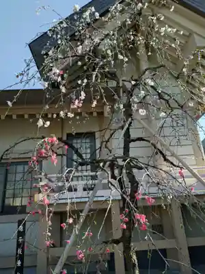 蛇窪神社(東京都)