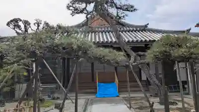 浄照寺(奈良県)