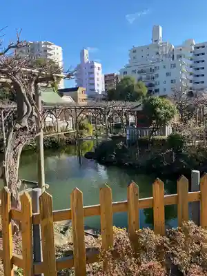 亀戸天神社(東京都)