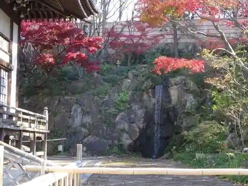 妙蓮寺の庭園