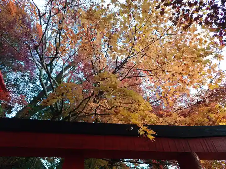 太皷谷稲成神社(島根県)