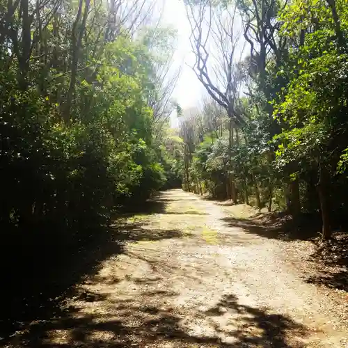 鹿島神宮の自然