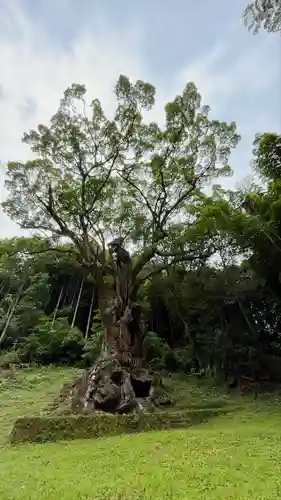 武雄神社(佐賀県)
