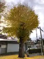 黒石神社(青森県)
