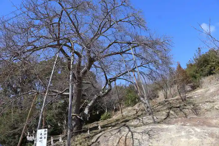 生石神社(兵庫県)