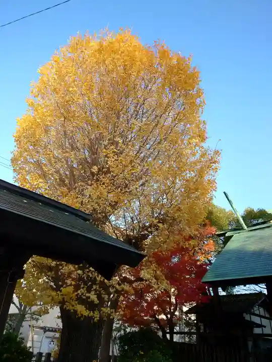 大垣大神宮の自然