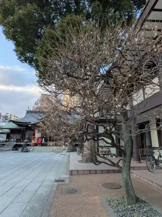 熊野神社(東京都)