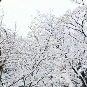 彌彦神社 (伊夜日子神社)の自然(2025年03月17日(月) 12時30分46秒投稿)