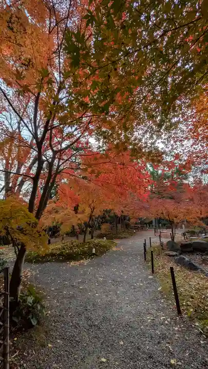 長岡天満宮(京都府)
