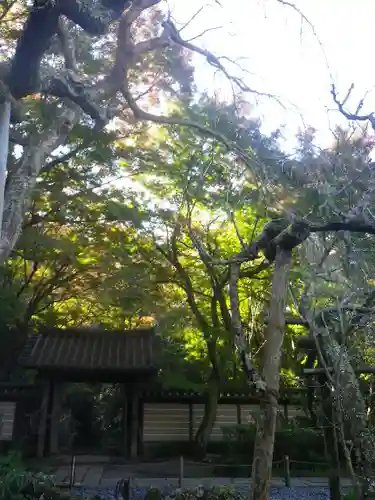 瑞泉寺の庭園