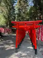 大田原伏見稲荷神社(栃木県)