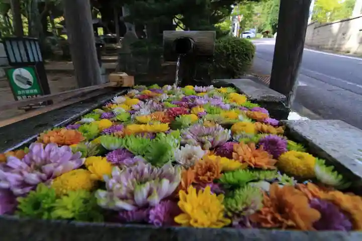 岳温泉神社 の手水舎