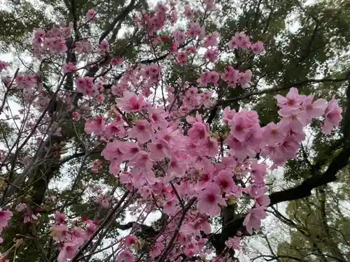 美奈宜神社(福岡県)