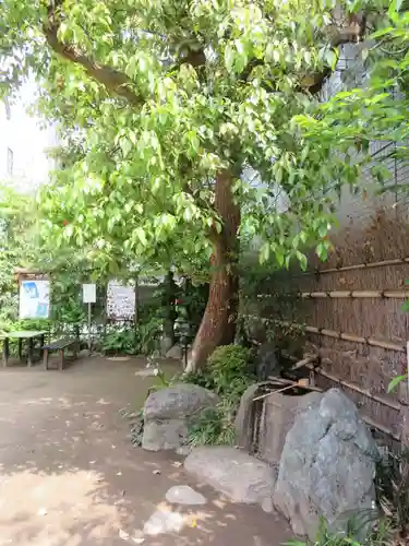 正寶院（飛不動尊）の手水舎