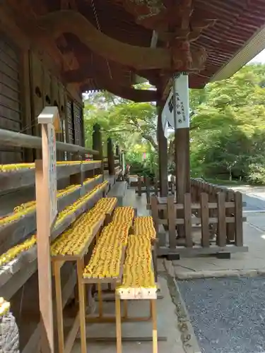 多聞院の本殿・本堂