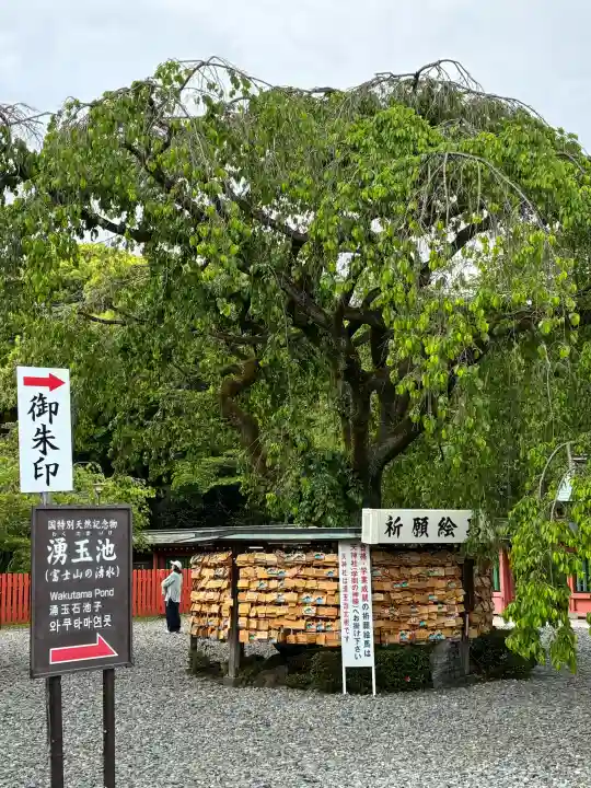 富士山本宮浅間大社の{uncategorized: "未分類", other: "その他", undefined: "問題あり", building: "その他建物", grave: "お墓", sacred_gate: "鳥居", guardian: "狛犬", statue: "像", buddha: "仏像", history: "歴史", nature: "自然", garden: "庭園", animal: "動物", pagoda: "塔", temizu: "手水舎", mountain_gate: "山門・神門", sanctuary: "本殿・本堂", subordinate: "末社・摂社", art: "芸術", scenery: "景色", jizo: "地蔵", ema: "絵馬", goshuin: "御朱印", omikuji: "おみくじ", items: "授与品その他", amulet: "お守り", goshuincho: "御朱印帳", eats: "食事", festival: "お祭り", votive_dance: "神楽", shichigosan: "七五三参", wedding: "結婚式", experience: "体験その他", initially: "初詣", around: "周辺", anti_infection: "感染症対策"}
