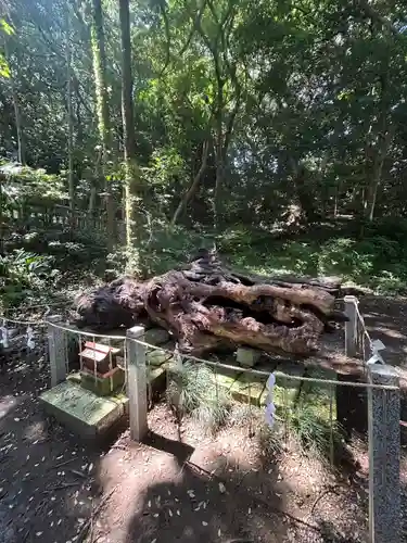 泉神社(茨城県)